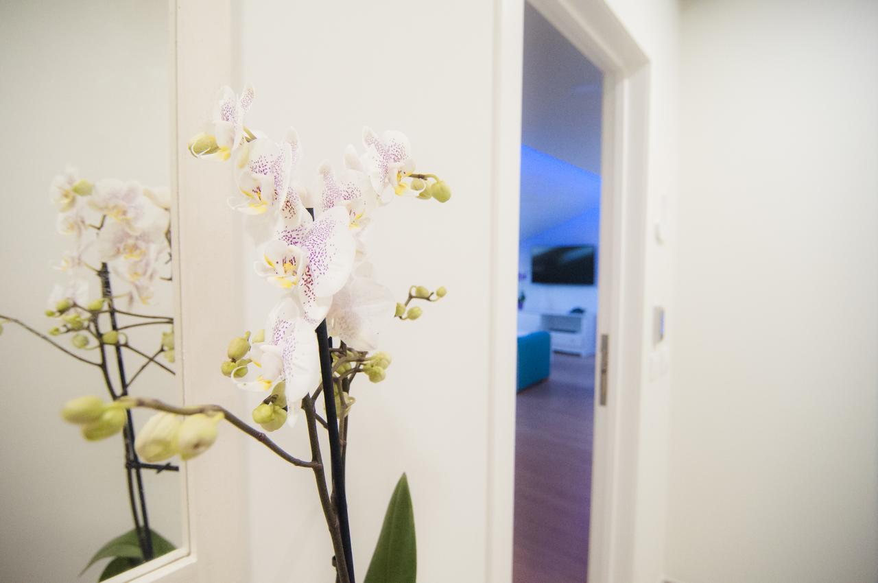 Los Rodeos Luxury Vivienda Vacacional 拉拉古纳 外观 照片